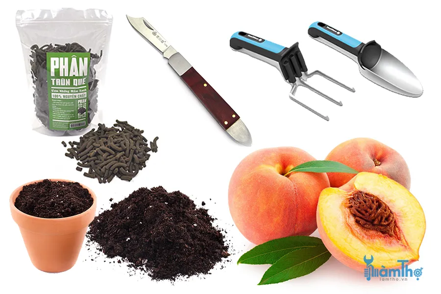 Các dụng cụ và vật liệu cần chuẩn bị để thực hiện cách trồng hạt đào