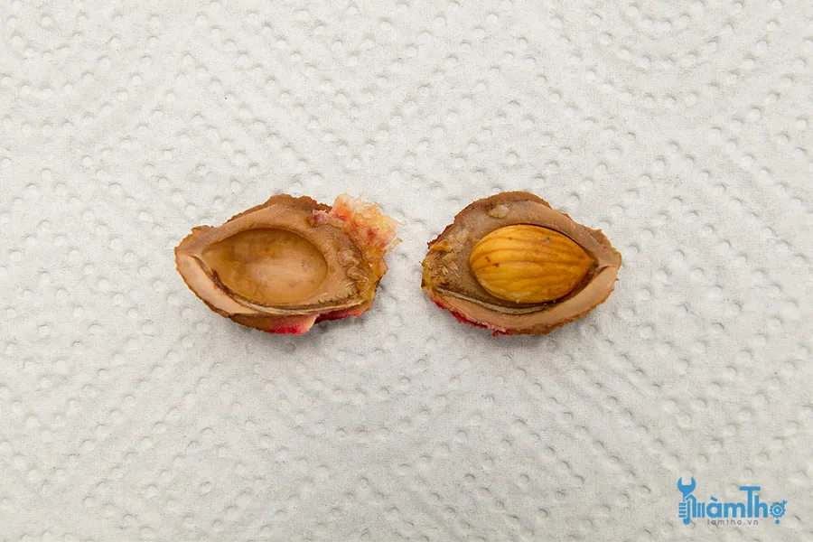 Tách bỏ lớp vỏ cứng bên ngoài để tăng tốc độ nảy mầm của hạt đào