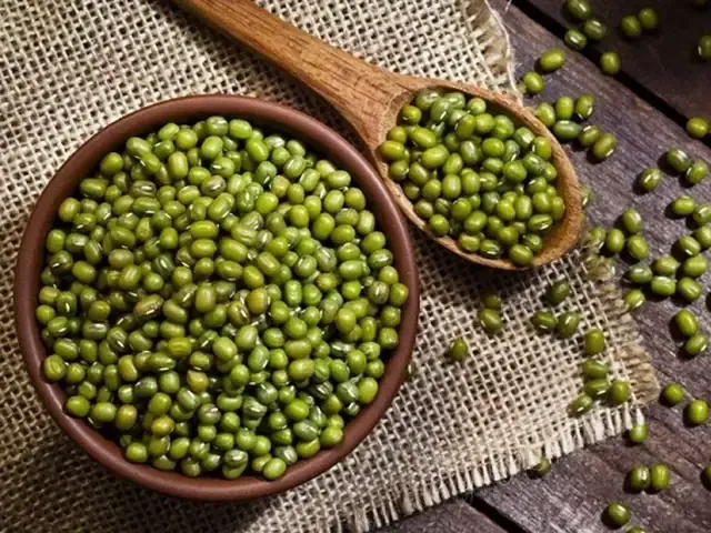 Chọn Giống Và Gieo Giống