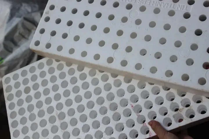 Mô hình trồng dâu tây cấy mô trên giàn trong nhà kính áp dụng công nghệ tưới nhỏ giọt