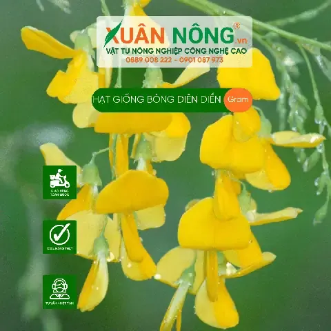 Thao tác giâm cành để nhân giống theo cách trồng điên điển thái