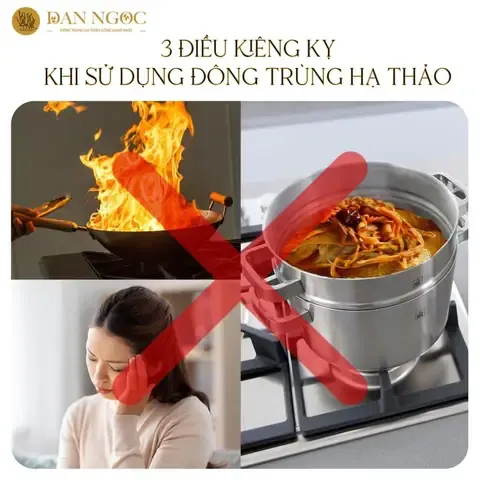 Môi trường dinh dưỡng chuẩn bị cho việc cấy giống đông trùng hạ thảo