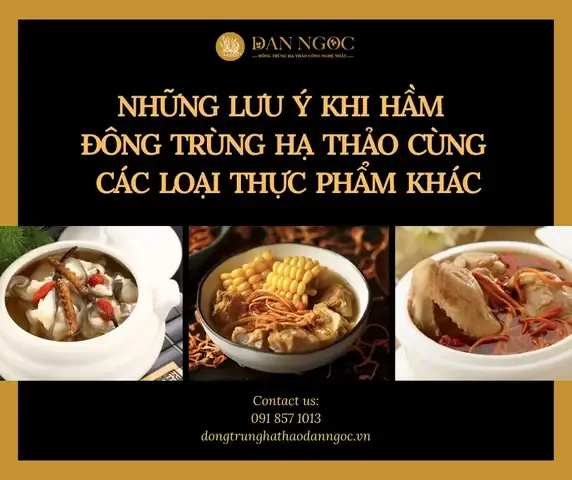 Đông trùng hạ thảo tươi đã thu hoạch, sẵn sàng để bảo quản và sử dụng