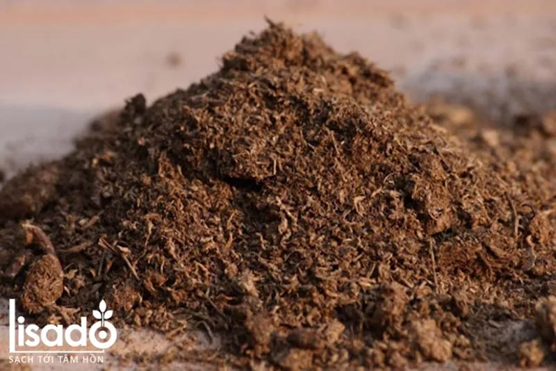 Đất hữu cơ sạch dùng để trồng dưa leo bằng hạt