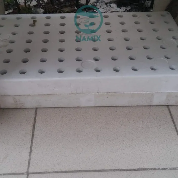 Chuyển Cây Con ra Chậu Lớn