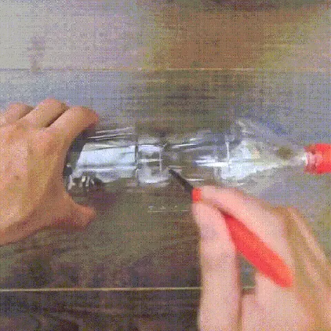 Hạt đậu xanh đã ngâm nở, sẵn sàng cho vào chai nhựa để ủ mầm giá đỗ