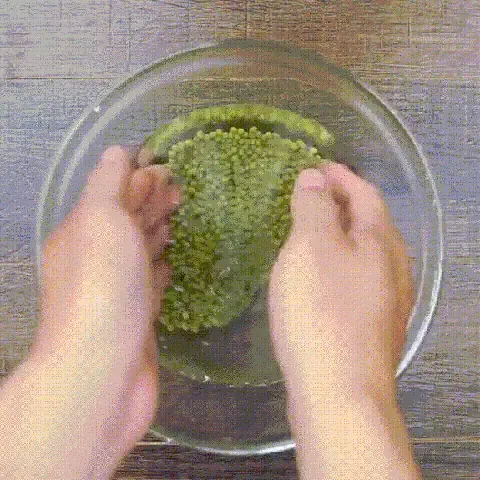 Thành quả thu hoạch những mẻ giá đỗ trắng mập, giòn ngon từ phương pháp trồng bằng chai nhựa