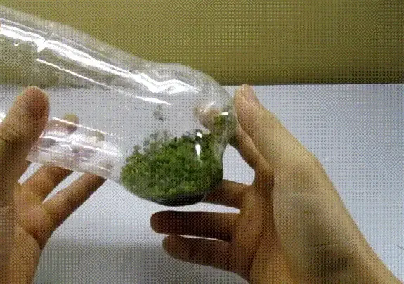 Quy trình đục lỗ thoát nước và chuẩn bị chai nhựa để bắt đầu trồng giá đỗ tại nhà