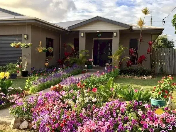 Quy trình cắt tỉa định hình và loại bỏ mầm dại cho gốc hoa hồng ngoại