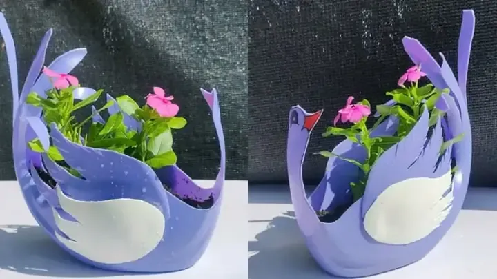 Tiến Hành Gieo Trồng Và Quản Lý Giai Đoạn Ươm Mầm