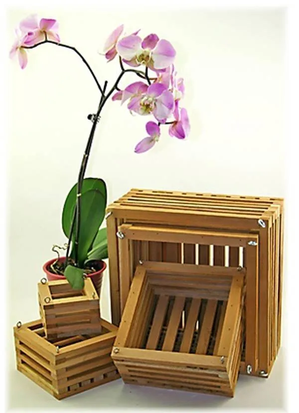 Giá thể trồng lan phổ biến bao gồm vỏ thông, xỉ than, và xơ dừa đã được xử lý