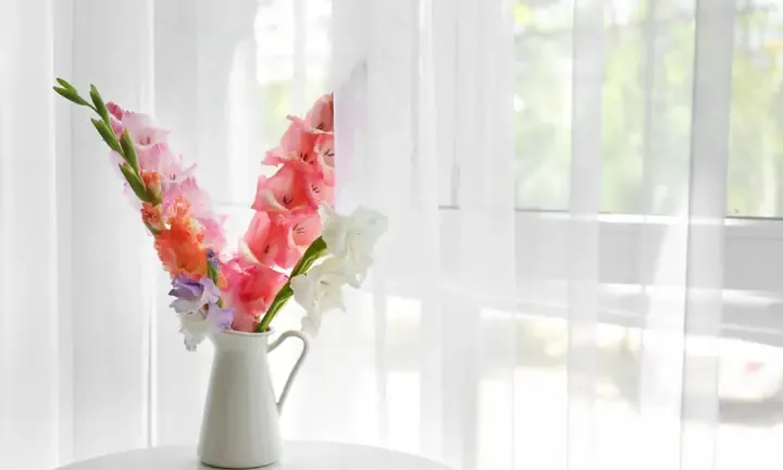 Cách Giữ Hoa Lay Ơn Tươi Lâu Tới 9 Ngày Để Chơi Tết