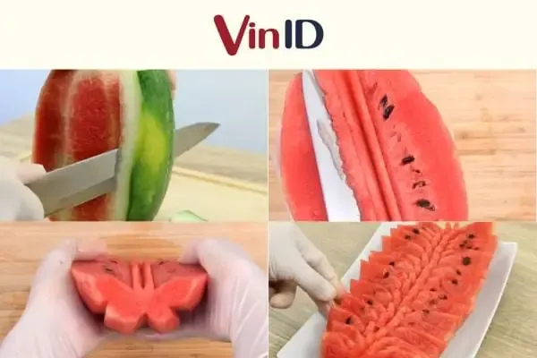 Hình ảnh minh họa quá trình kiểm tra rễ hoa quỳnh