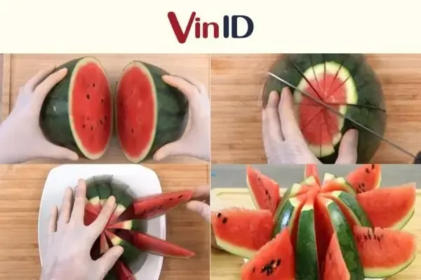 Hình ảnh minh họa quá trình ra hoa của hoa quỳnh