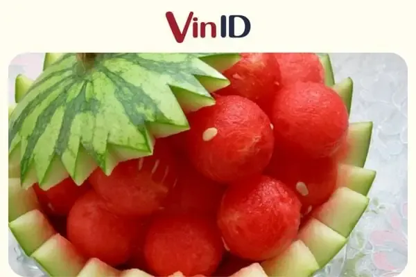 Hình ảnh minh họa quá trình phát triển của chồi non hoa quỳnh