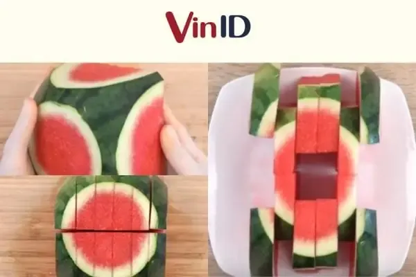 Hình ảnh minh họa khu vực trồng hoa quỳnh thoáng gió