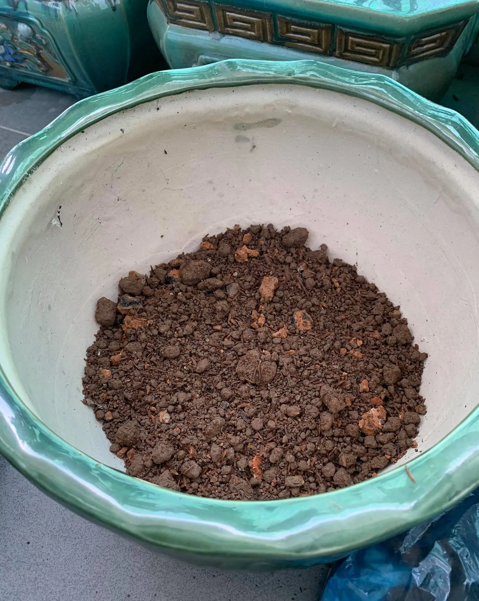 Chuẩn bị hỗn hợp đất trồng giàu dinh dưỡng và thoát nước tốt theo tỷ lệ 6:4 hoặc 6:2:2