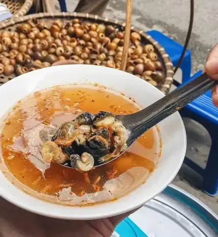 BÃºn á»c NÃ³ng â€“ HÆ°Æ¡ng Vá»‹ Quen Thuá»™c VÃ  Biáº¿n Táº¥u Phong PhÃº