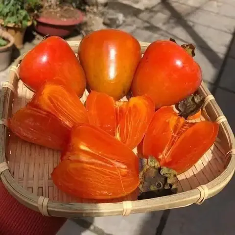 Váº» Äáº¹p VÃ  HÆ°Æ¡ng Vá»‹ Äá»™c ÄÃ¡o Cá»§a Há»“ng Trá»©ng