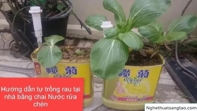 Ảnh hưởng của mùa vụ đến nhu cầu nước