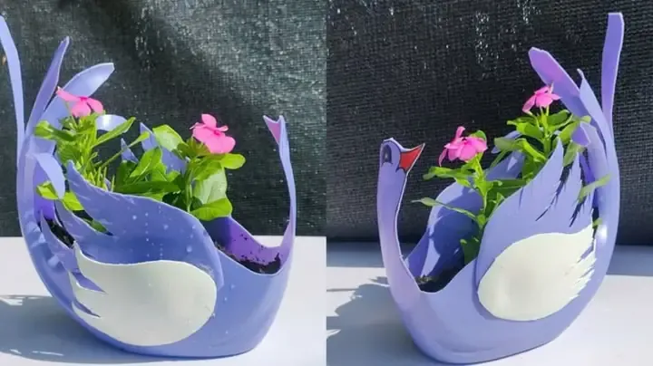 Mô tả Lan Hồ Điệp Mini với hoa màu hồng đang được trồng trong chậu nhựa trong