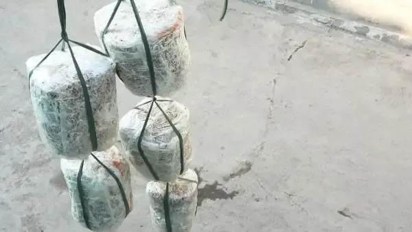 Các bước và dụng cụ cần thiết để trồng nấm rơm tại nhà không cần rải meo