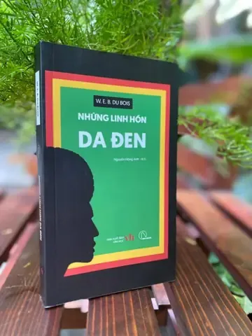 Kỹ thuật chăm sóc hoa Ly lâu tàn