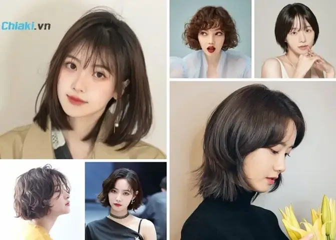 Chăm sóc hoa Dạ Yến Thảo kép cho hoa lớn