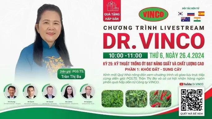 Cây cam Vinh được chăm sóc để đạt năng suất và chất lượng cao