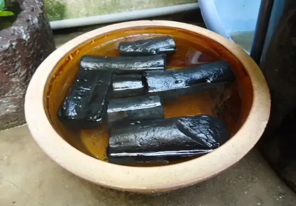 Quy trình xử lý tiệt trùng giá thể than củi trước khi áp dụng cách trồng phong lan bằng than củi