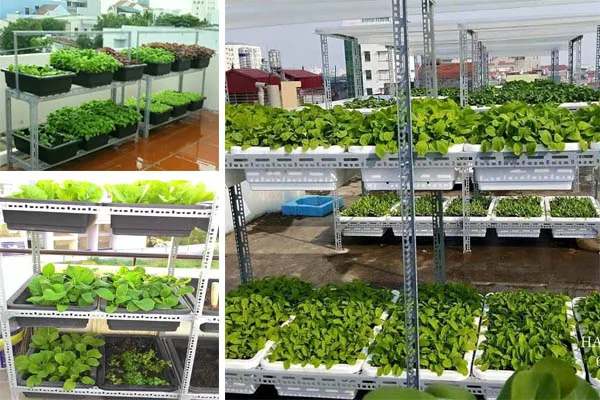 Các loại kệ sắt V lỗ đa năng dùng để trồng rau tại nhà