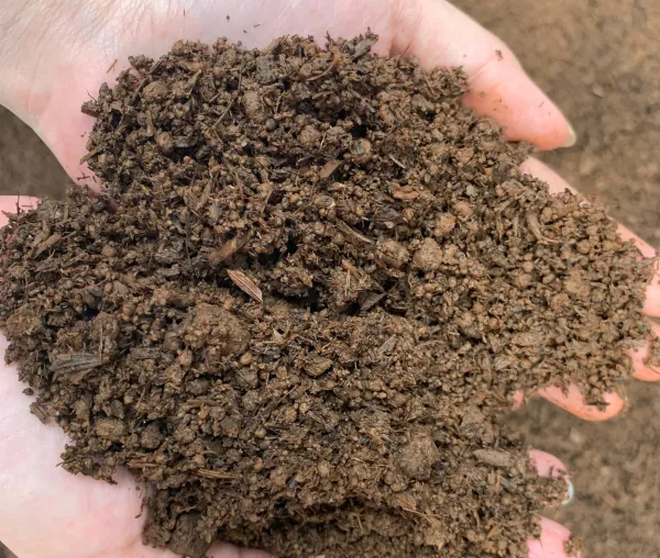 Phối trộn đất trồng tơi xốp để trồng rau má bằng hạt