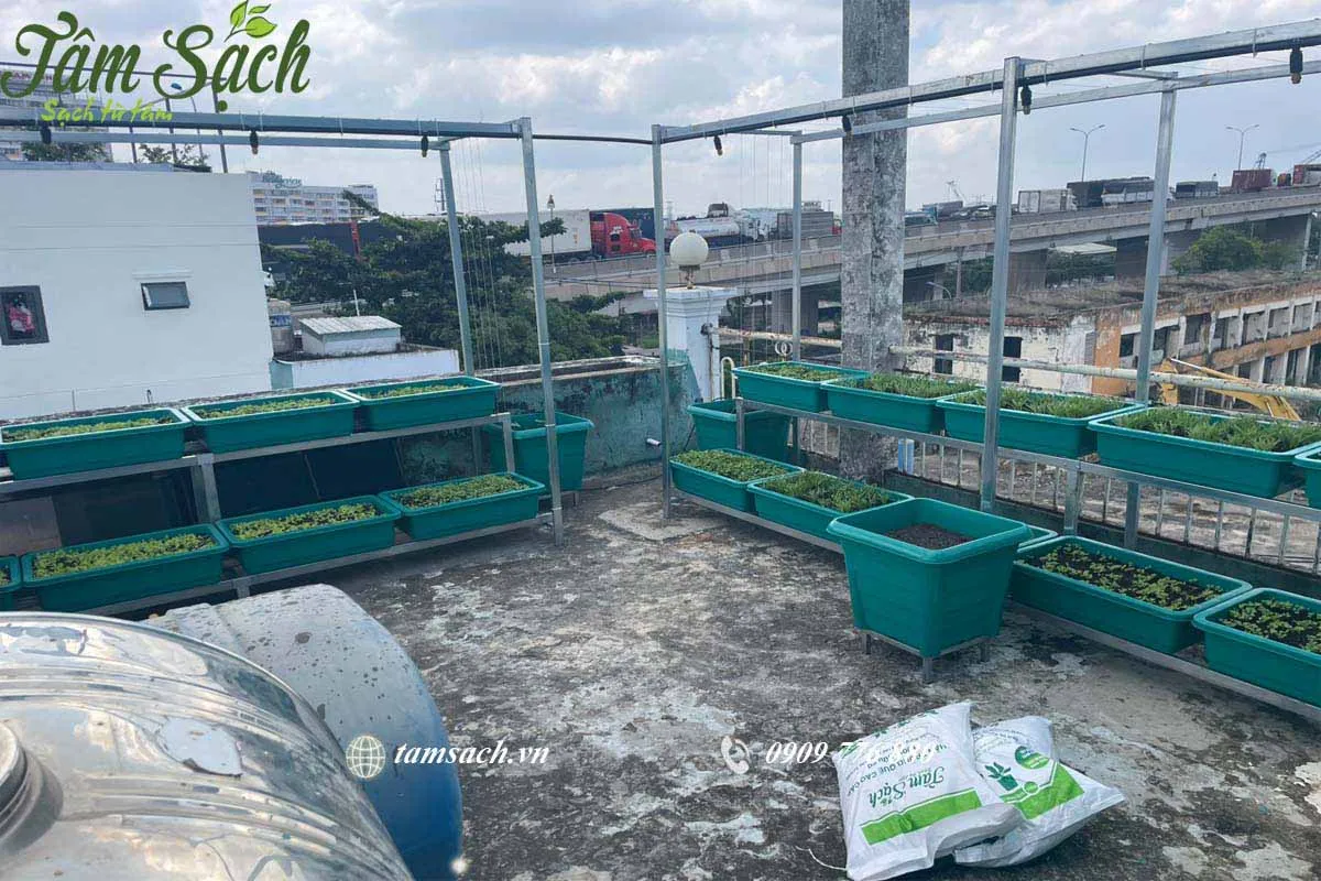 Kệ 2 tầng tưới phun sương