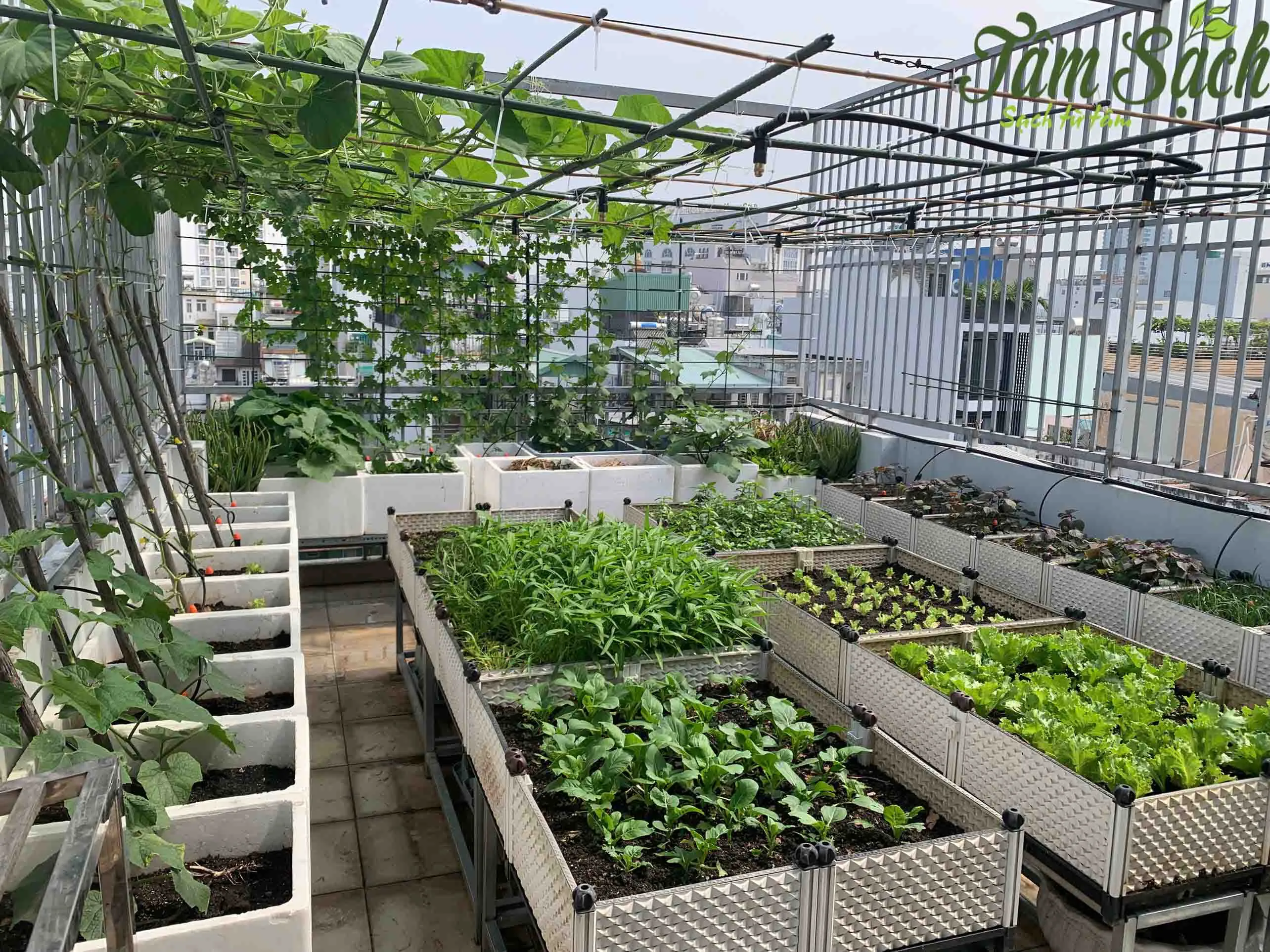 Bộ chậu thông minh có hệ thống tự tưới nhỏ giọt