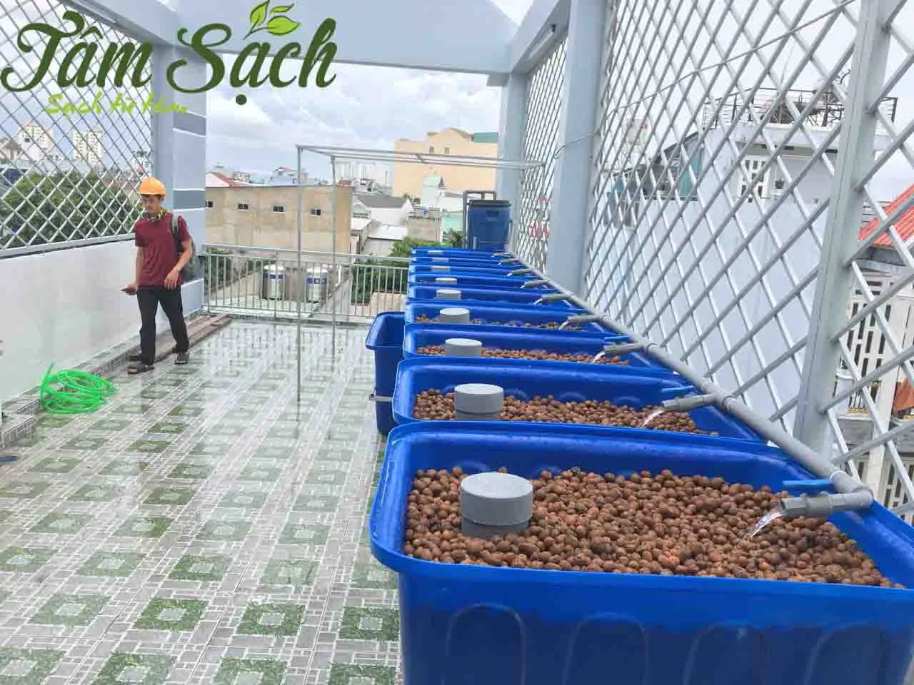 Hệ thống chậu trồng rau tiết kiệm không gian ban công