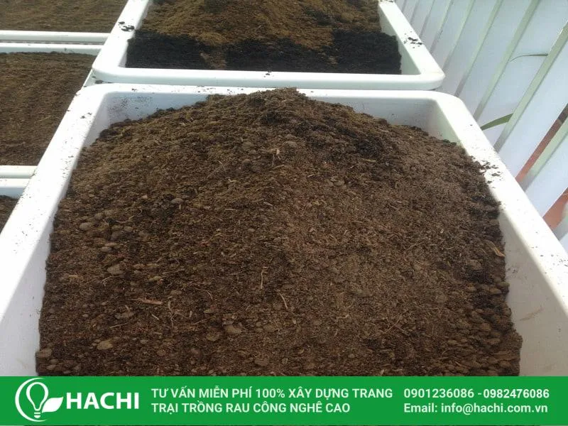 Chuẩn bị thùng xốp đục lỗ dưới đáy để trồng rau tần ô