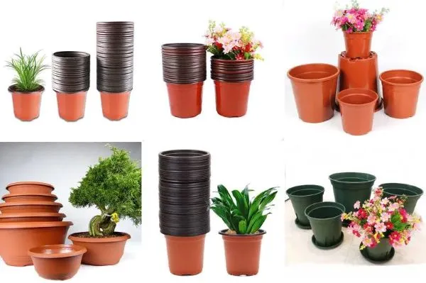 Mua chậu trồng rau tại An Nhiên