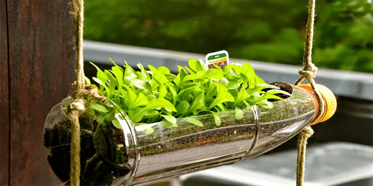 Chuẩn bị giá thể và chai nhựa đã được cắt, đục lỗ để trồng rau