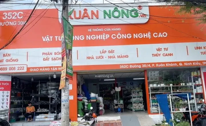 Cận cảnh lớp rêu rừng non đang phát triển trên nền đất mỏng, mô tả kỹ thuật ươm trồng rêu rừng