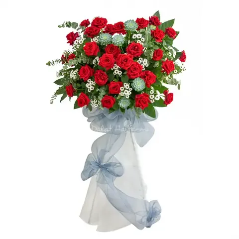 Quá trình nhân giống sen đá từ lá, thể hiện khả năng phát triển mạnh mẽ của cây sen đá