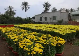 Alt text mô tả bằng tiếng Việt dưới 125 ký tự