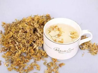 Thạch Hộc Tía Cần Chăm Sóc Dinh Dưỡng Đúng Cách