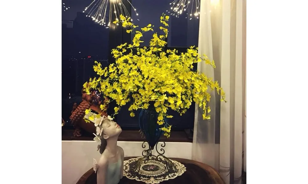 Chậu hoa lan Vũ Nữ thường được dùng để trang trí