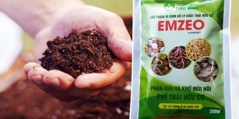 CÁCH Ủ MÙN CƯA ĐỂ TRỒNG RAU: Kỹ Thuật Tạo Phân Hữu Cơ Cao Cấp