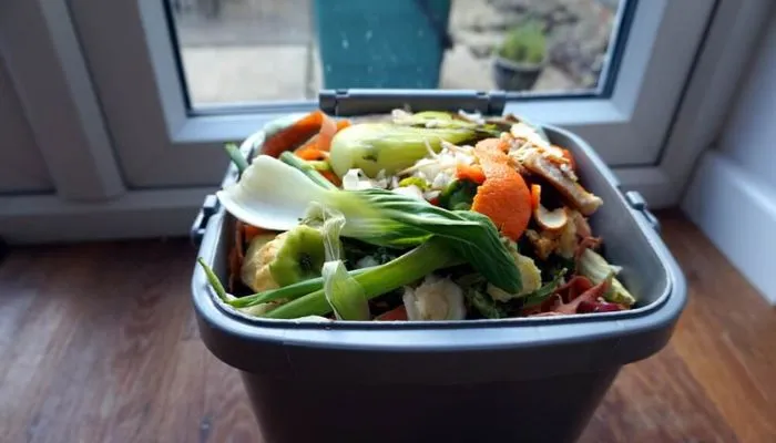 Cách ủ rác thải nhà bếp trồng rau