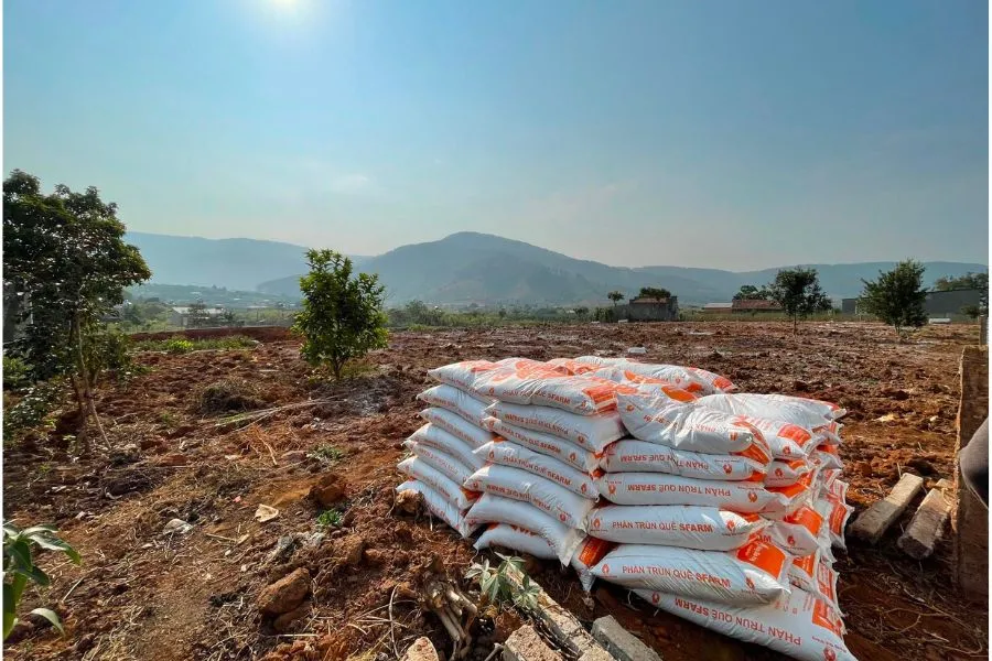 Phân Trùn Quế SFARM chuẩn bị cho quá trình cải tạo đất trồng rau