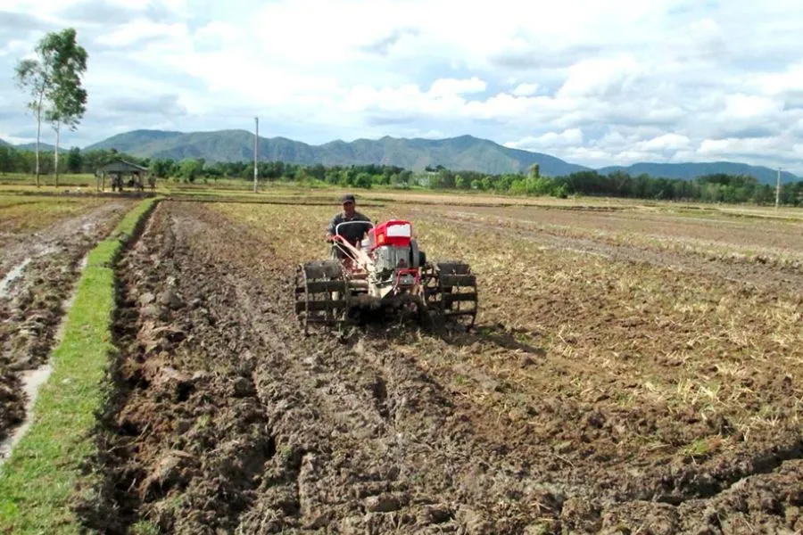 Làm tơi xốp đất bằng cách trộn vật liệu hữu cơ trước khi trồng rau