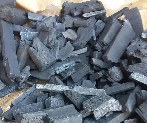 Than Củi - Một trong các loại vật liệu có thể trộn cùng rêu sau khi xử lý