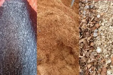 Vỏ Lạc - Giống giá thể trồng lan phổ biến cần xử lý