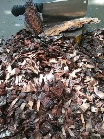 Vỏ Thông - So sánh với rêu rừng trong cách xử lý giá thể trồng lan